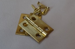 1'' Polished Solid Brass Hinges (pair)